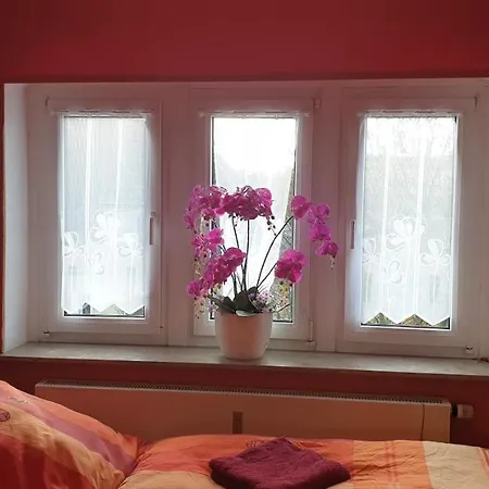 Pavillon Casa de hóspedes