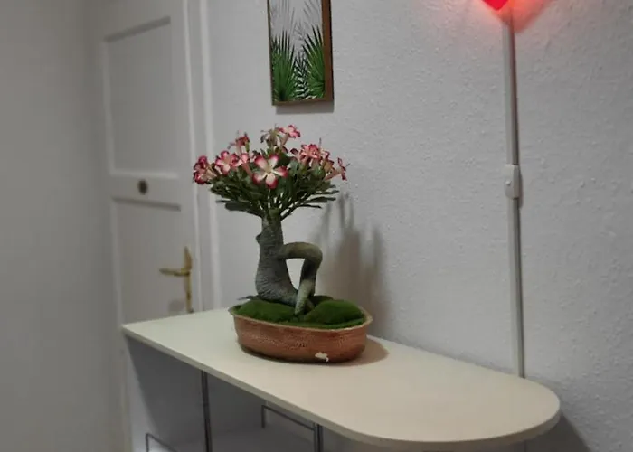 Pavillon بيت ضيافة دريسدن